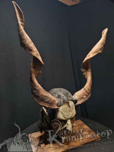 Ziegenbockhörner aus der Region Apulien