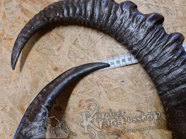 Arabischer Steinbock Model Nubia