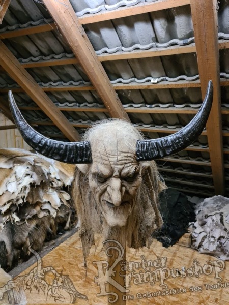 Wasserbüffel Kategorie A