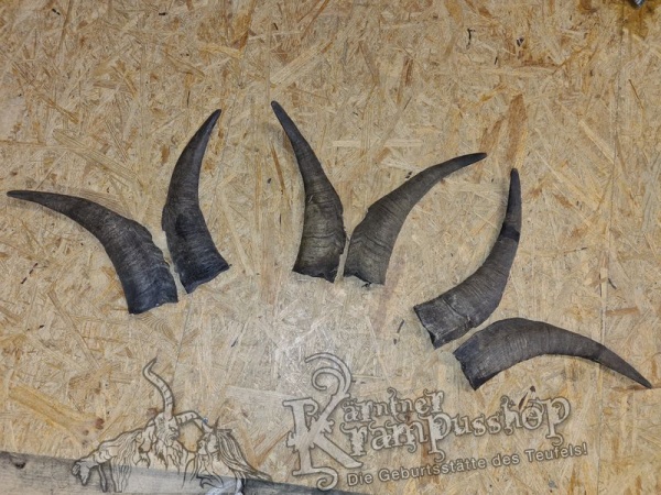 Bock Dunkel Kategorie E