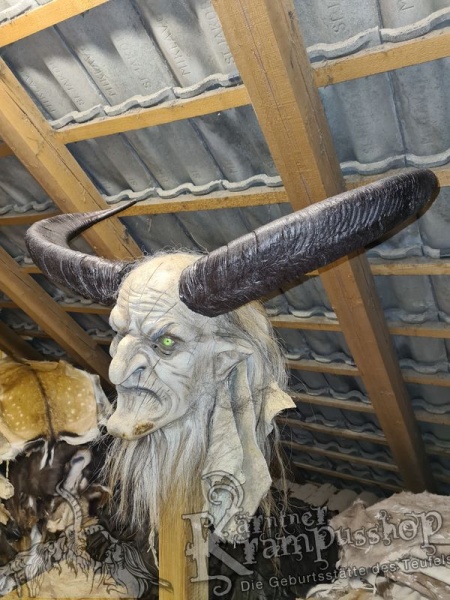 Afrikanischer Mähnenspringer Aoudad