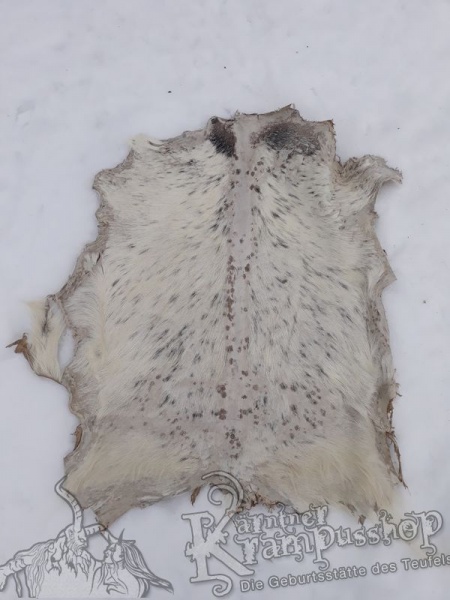 Ziegenfell ausrasiert Weiss