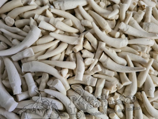 Stiftzähne Gemischt für den Maskeneinbau