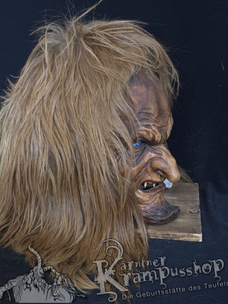 Langhaar Kopffelle Fuchsbraun