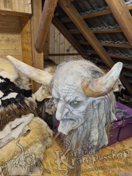 1 Paar Kuhhörner Mittel