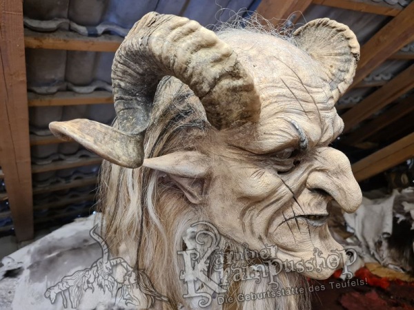 Heimische Widder NATUR Eingedreht Gewachsen