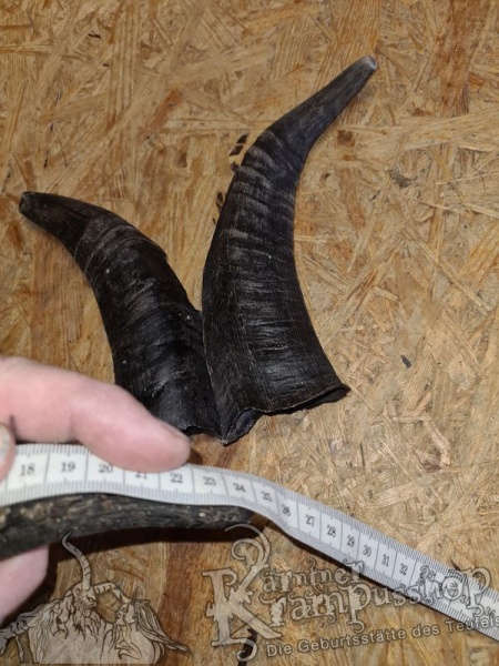 Bock Dunkel Kategorie C