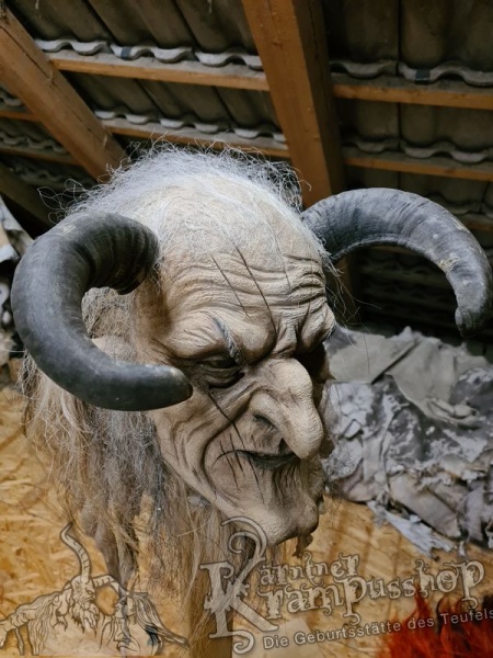 Widder Dunkel bis 30cm