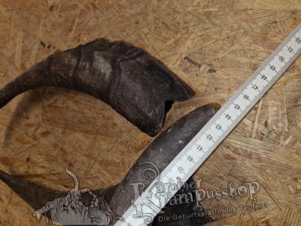 Bock Dunkel Kategorie F