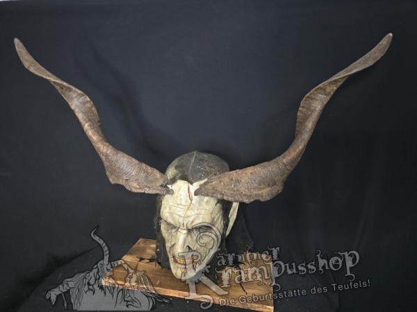 Ziegenbockhörner aus der Region Ampulien