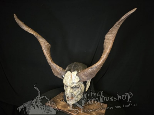 Ziegenbockhörner aus der Region Ampulien