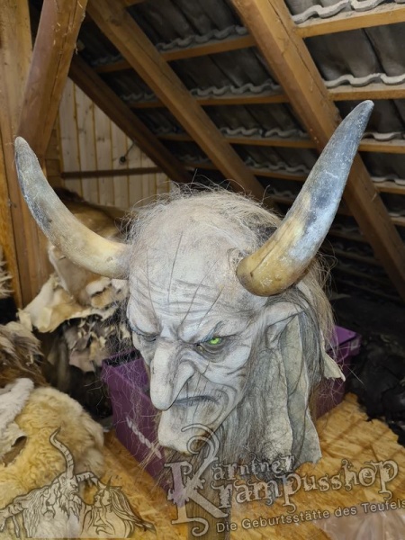 1 Paar Kuhhörner Mittel