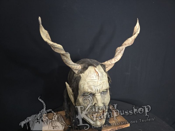 Zackelschaf Hörner Hell