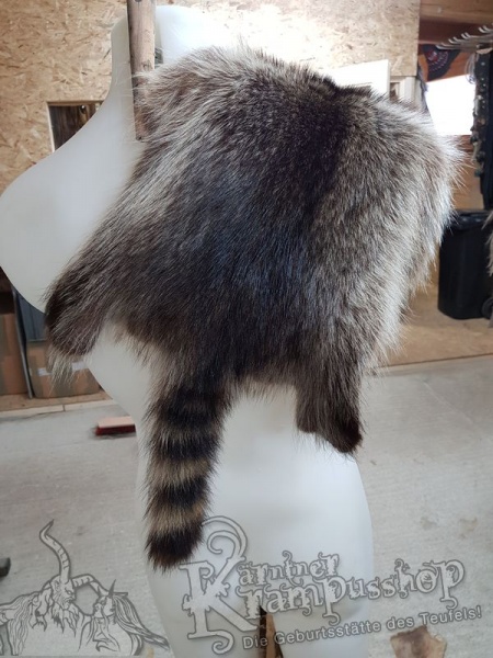 Waschbär Fell Natur