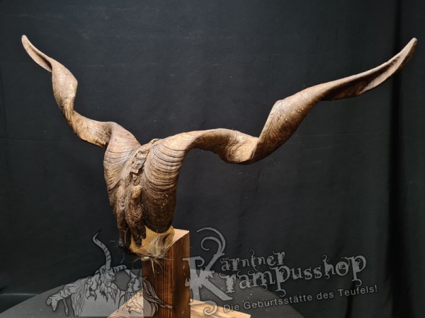 Ziegenbock mit Schädel aus der Region Apulien