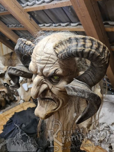 Heimische Widder NATUR Eingedreht Gewachsen