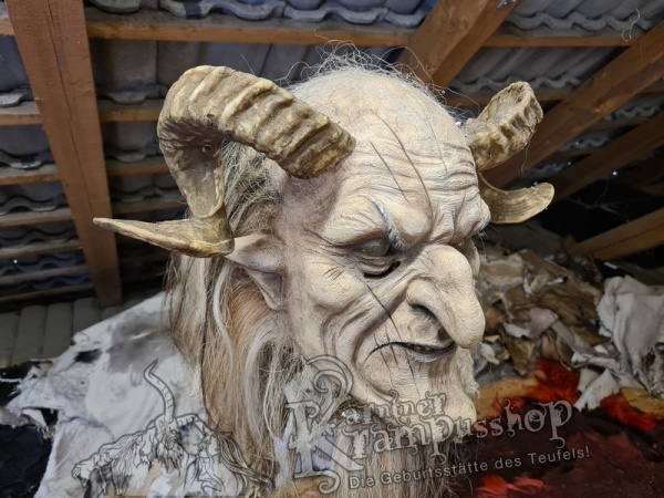 Heimische Widder NATUR Eingedreht Gewachsen