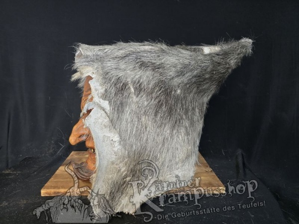 Kaputze GRAU Rassiert SPITZ nach HINTEN