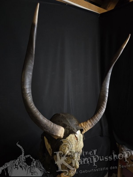 Nyala Antilope gross