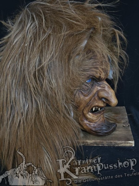 Langhaar Kopffelle Fuchsbraun