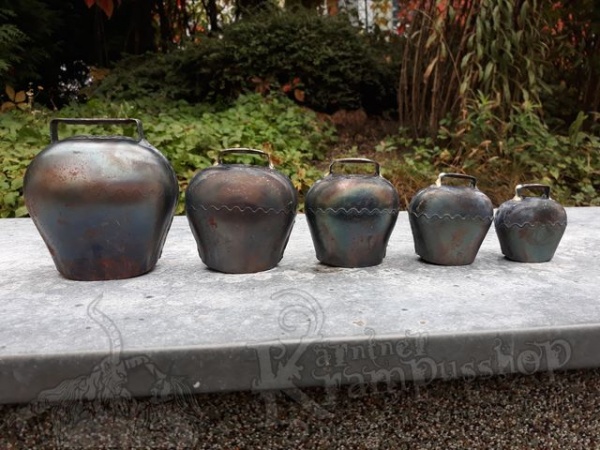 Froschmaulglocken Blank