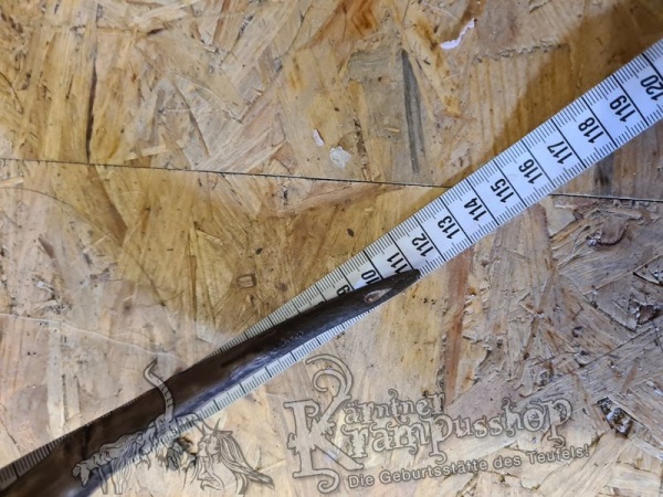 Türkischer Steinbock Bezoar Model Sidal