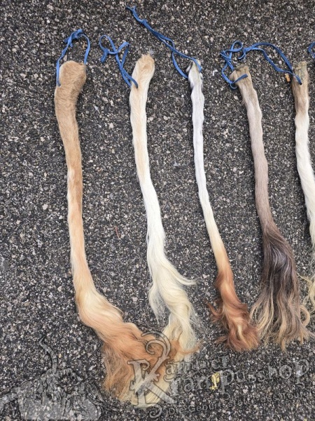 Kuhschweif Natur Grösse XLarge