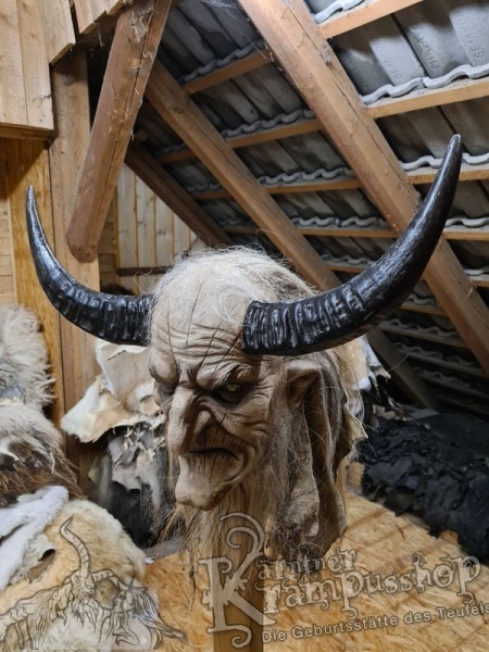 Wasserbüffel Kategorie A