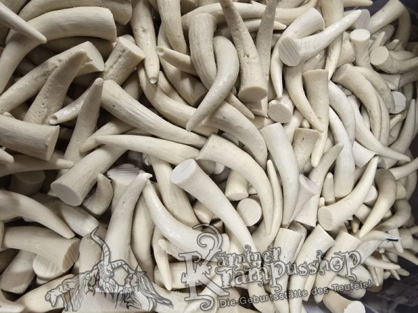 Krallen MITTEL Beige