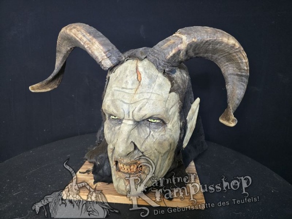 Widder Leicht Eingedreht Gewachsen 40