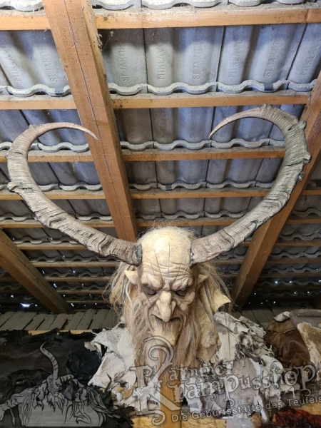 Türkischer Steinbock Bezoar Model Sidal