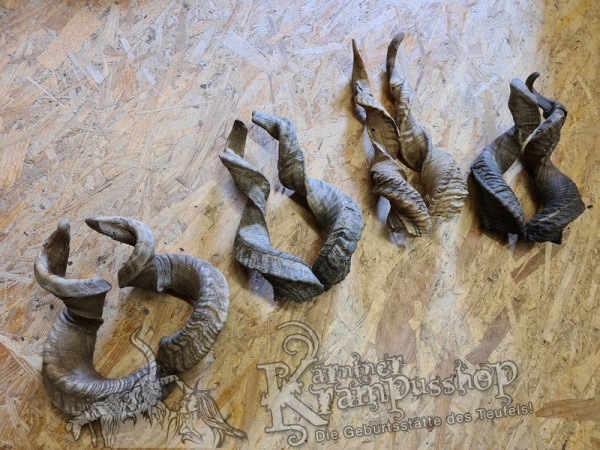 Heimische Widder NATUR Gerade gewachsen