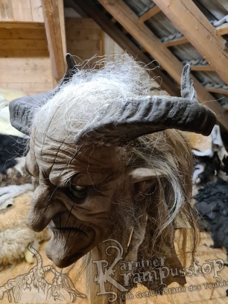 Widder Dunkel bis 40 cm