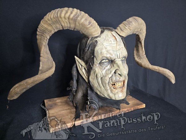 Hochland Widderhörner