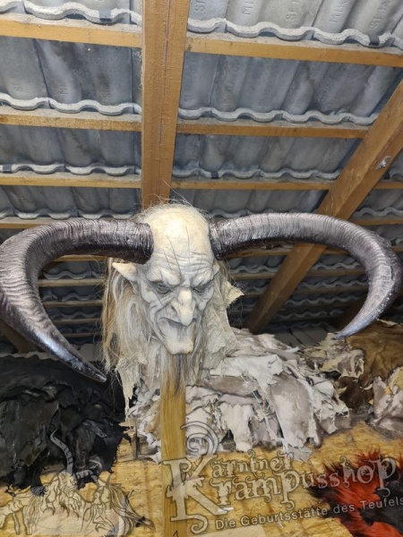 Afrikanischer Mähnenspringer Aoudad