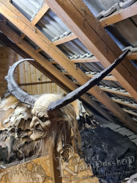 Türkischer Steinbock Bezoar Model AKI