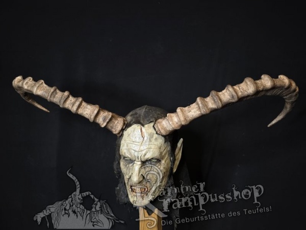 Sibirischer Steinbock