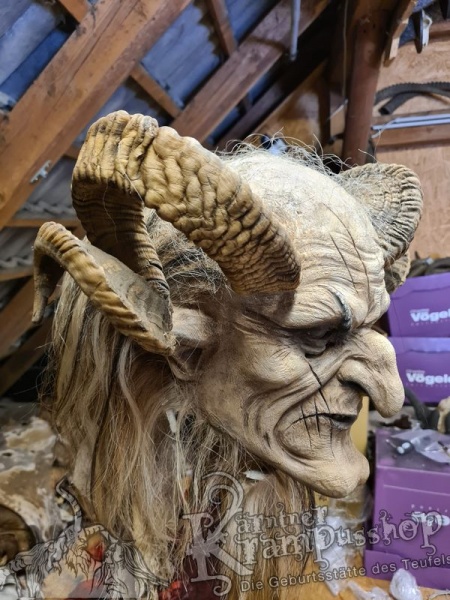 Heimische Widder NATUR Eingedreht Gewachsen