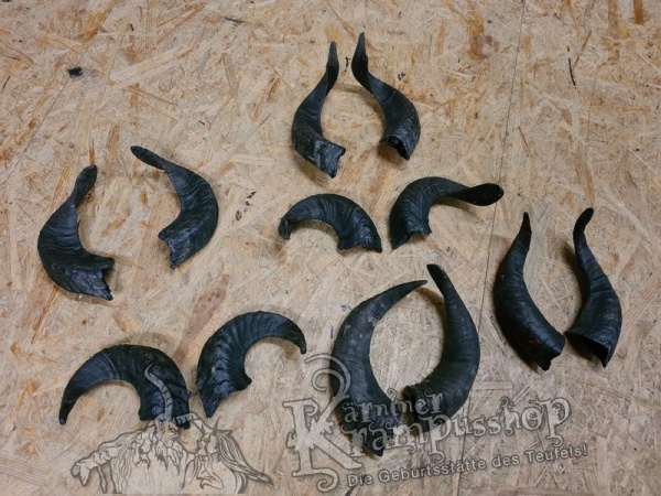 Widder Dunkel bis 30cm