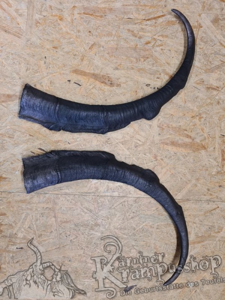 Türkischer Steinbock Bezoar Model AKI