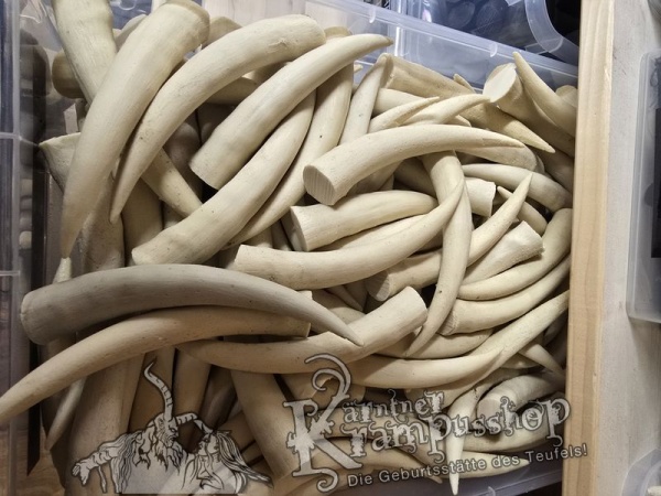 Krallen Irospitzen Beige