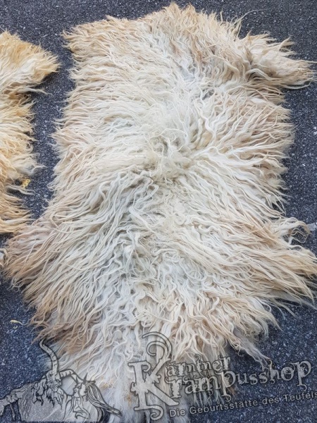 Schaf Langhaar Weiss