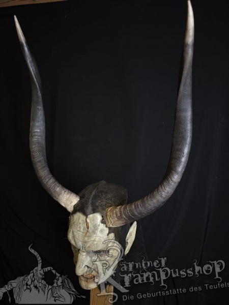 Nyala Antilope gross