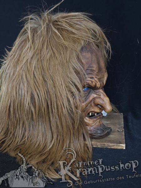 Langhaar Kopffelle Fuchsbraun