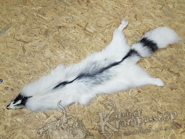 Polar Fuchs grau meliert