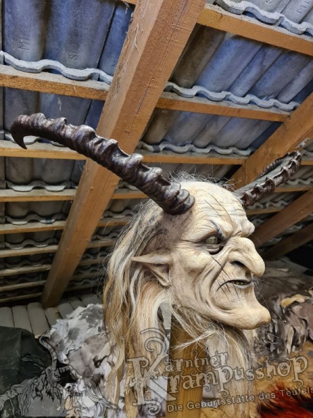 Arabischer Steinbock Model Nubia