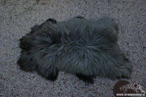 Haidschnucken Langhaar Grau