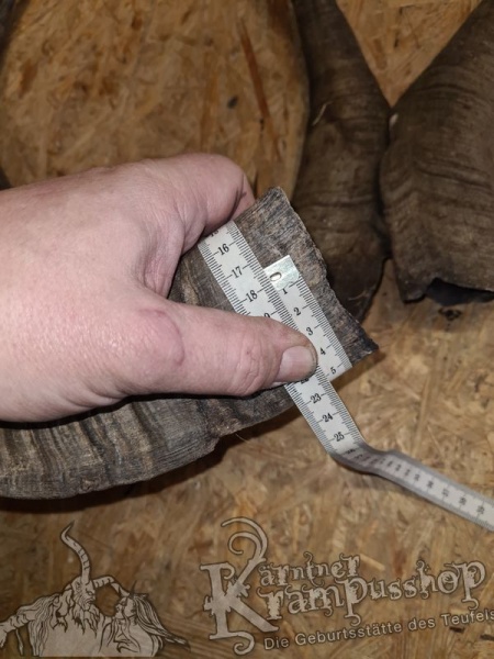 Bock Dunkel Kategorie F