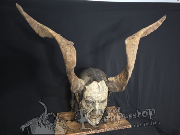 Ziegenbockhörner aus der Region Ampulien