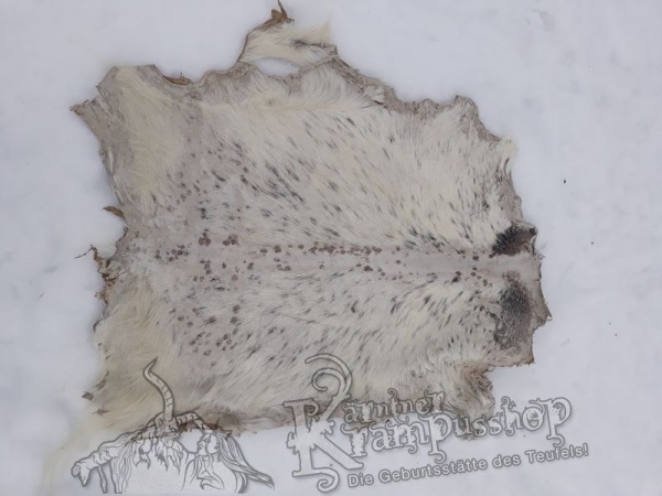 Ziegenfell ausrasiert Weiss